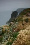 image Cap Fréhel