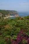image Cap Fréhel
