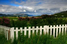 image Holm