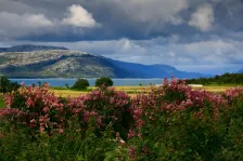 image Holm