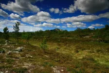 image Femundsmarka