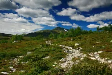 image Femundsmarka