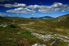 image Femundsmarka