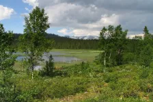 image Sarek
