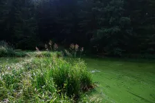 image Vydýmač