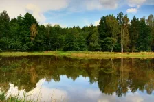 image Dubný rybník