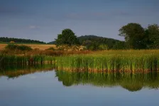 image Mnichovec