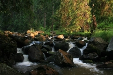 image Potok Černá
