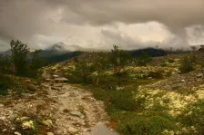 image RONDANE