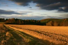 image Lipka v podvečer