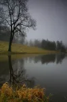 image Vejprtský rybník mlhavý