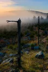 image Meluzína