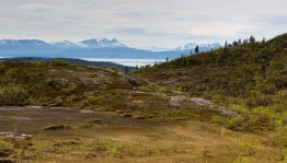 image Senja
