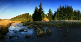 image Černá