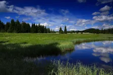 image Mrtvý rybník