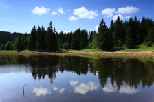 image Kapelníkův rybník