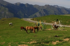 image Pyreneje