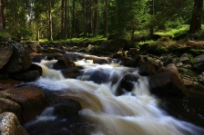 image Černá