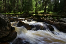 image Černá