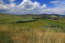 image Šibeník
