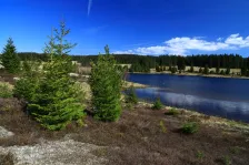 image Přebuzský rybník