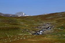 image Gaavesjohke