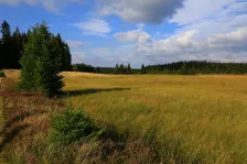 image Rolavská vrchoviště