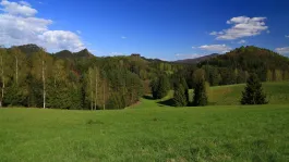 image Jetřichovické pohledy
