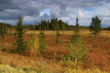image Severní Švédsko