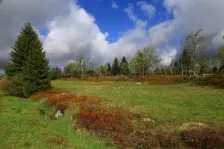 image Jaro v Krušných horách