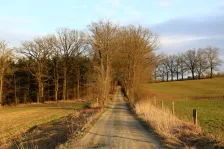 image Dubová alej podvečerní