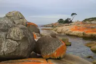 image Bay of Fires