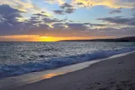 image Swimcart Beach