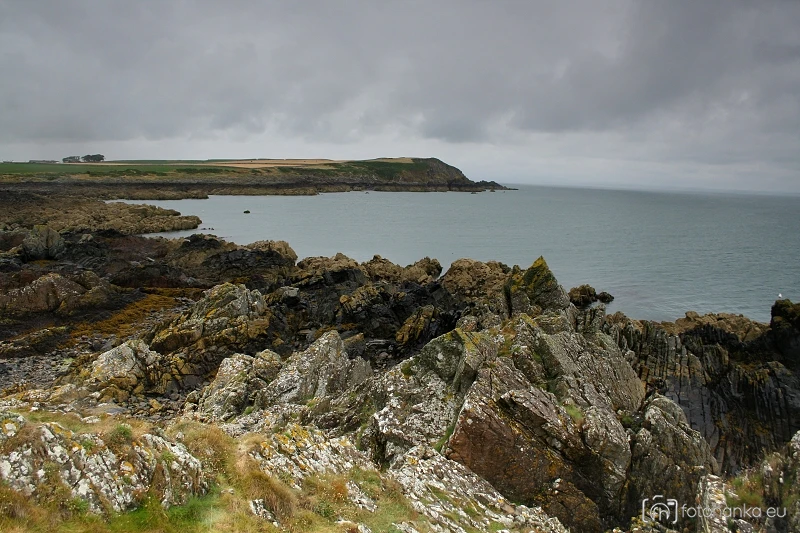 Burrow head