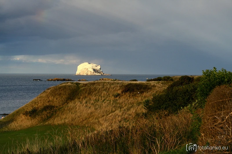 Bass rock