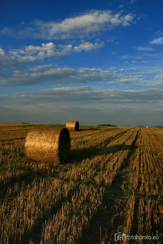 Týnec nad Sázavou