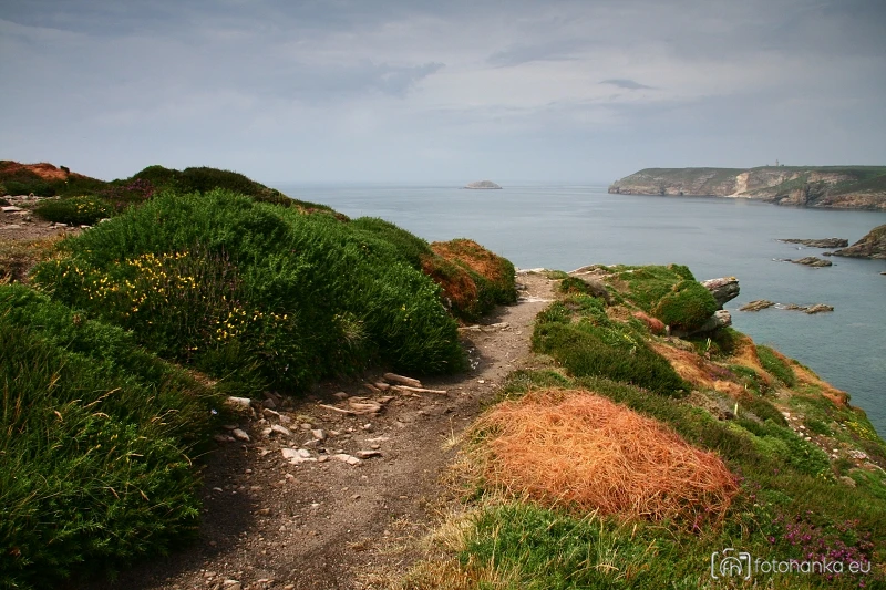 Cap Fréhel