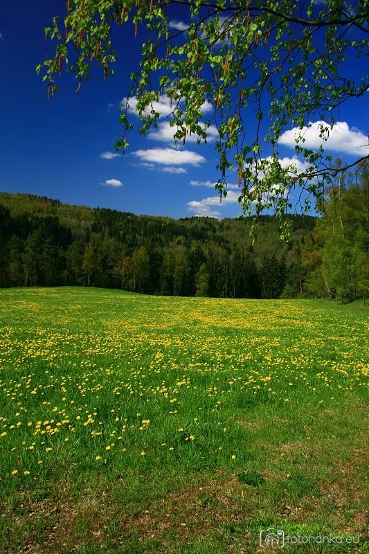 Kašperské hory