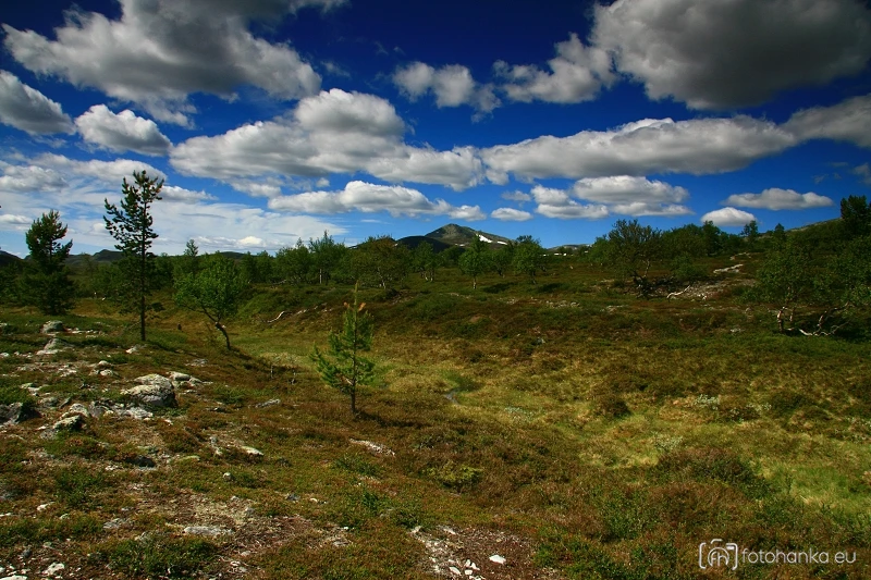 Femundsmarka