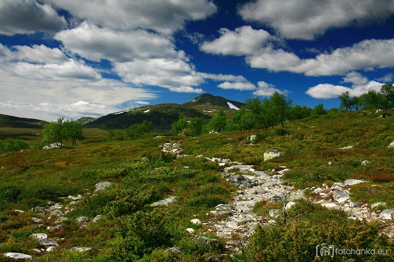 Femundsmarka