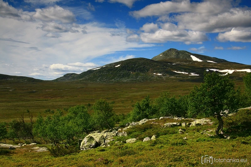 Femundsmarka
