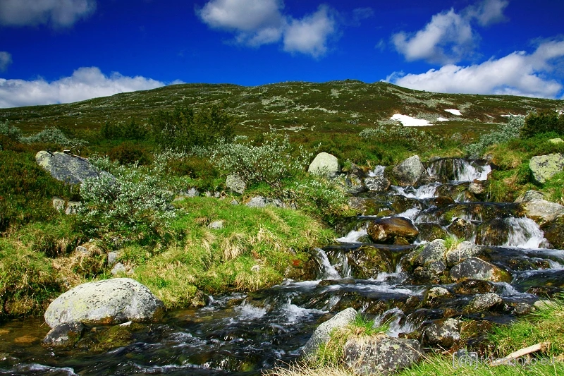 Femundsmarka
