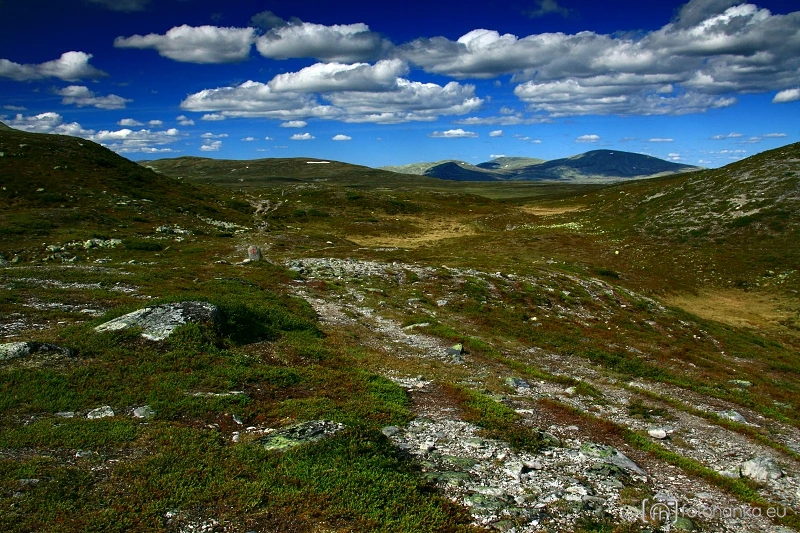 Femundsmarka
