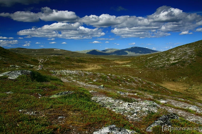 Femundsmarka