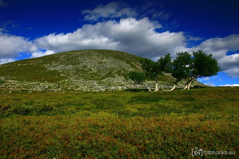 Femundsmarka