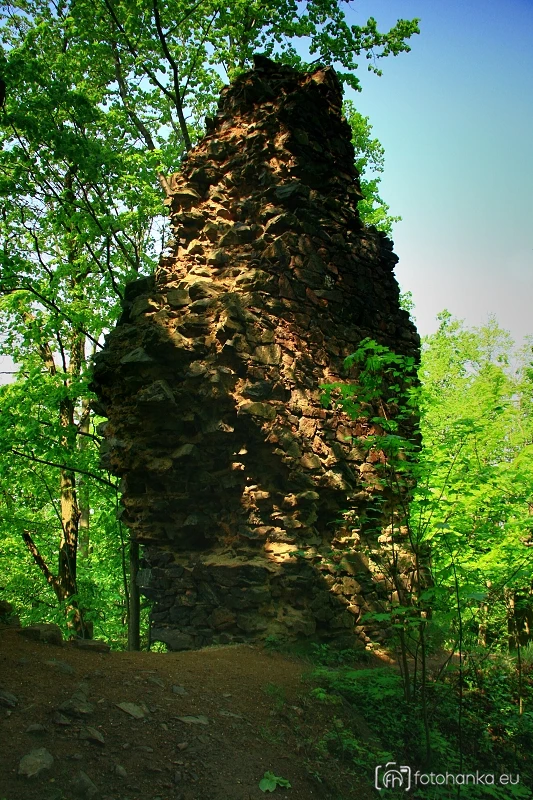 Netřeb