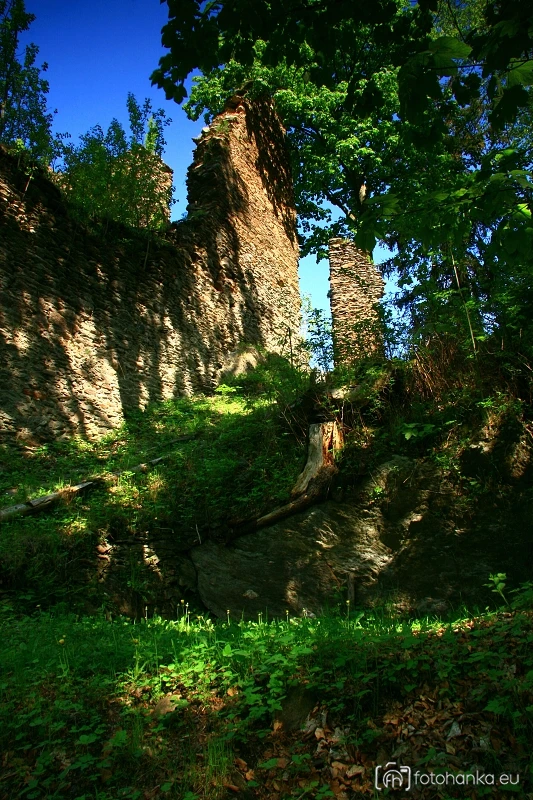 Pajrek
