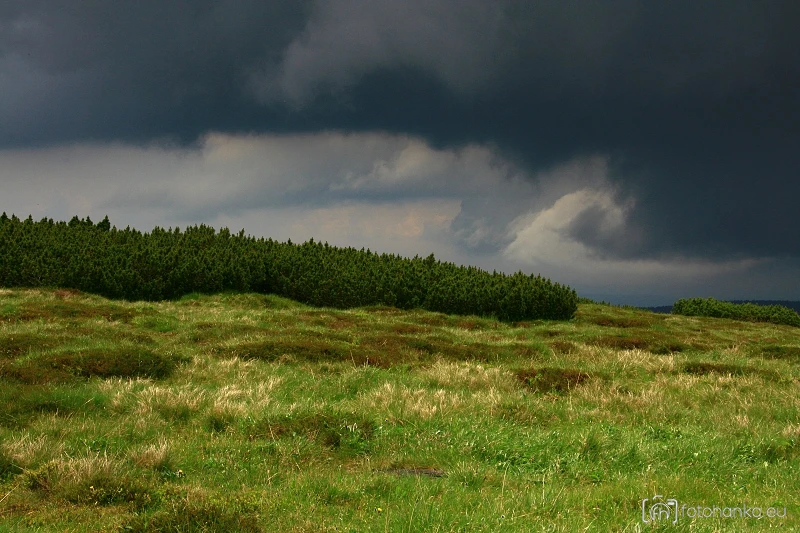 Krkonoše