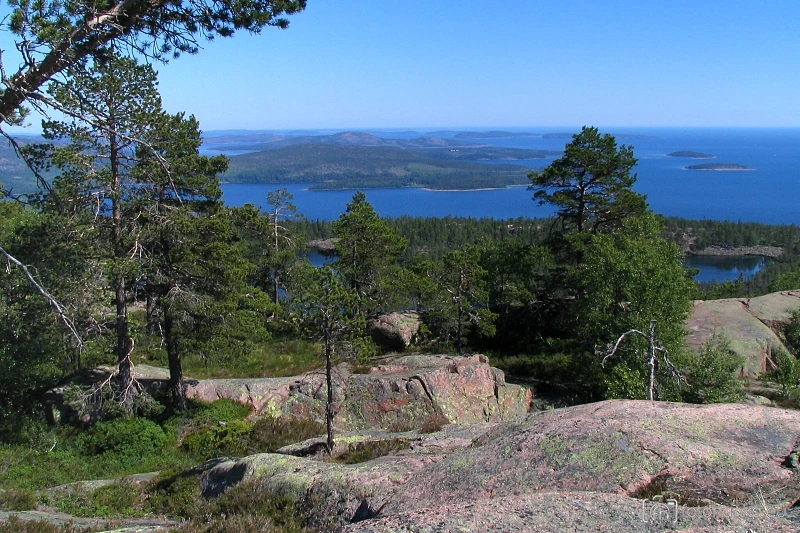 Skuleskogen