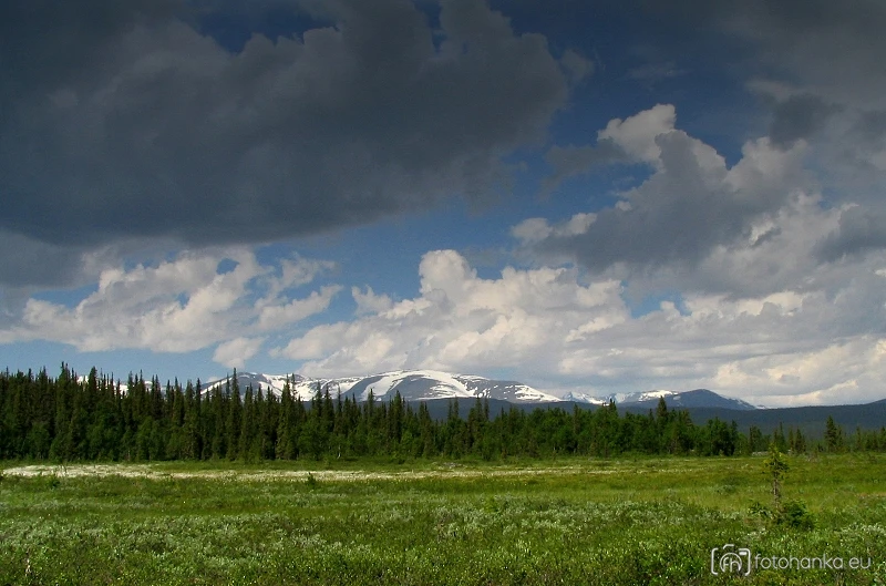 Sarek